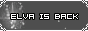 Sina Blog